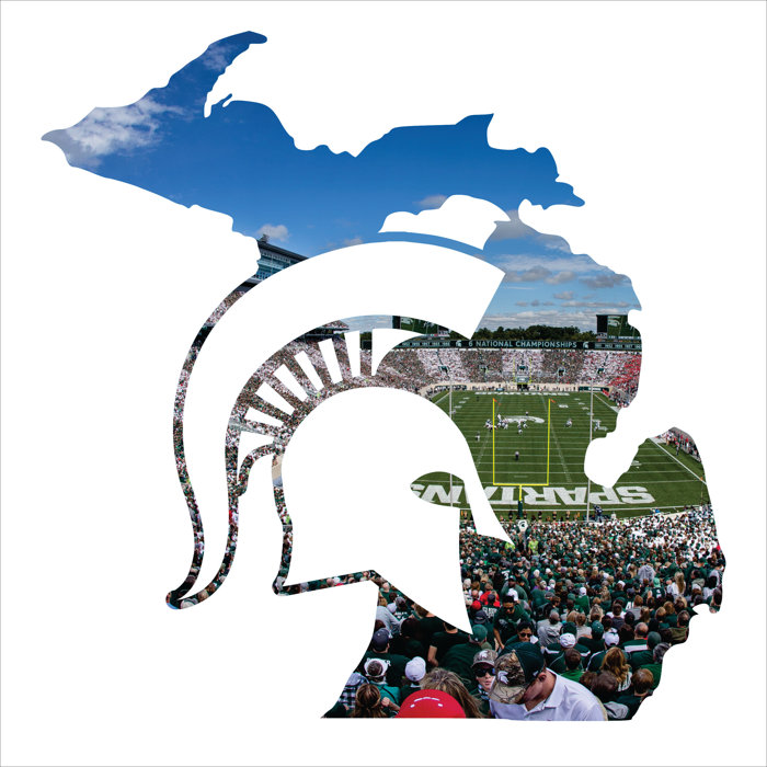 Precision Metal Art USA Laser Cut Metal Wall Décor | Wayfair